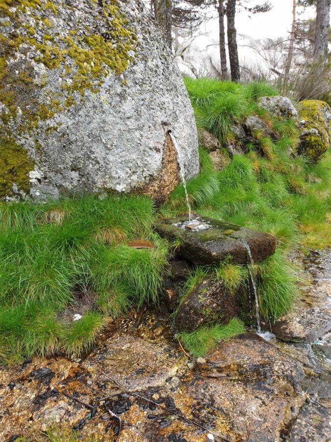 Casa Dos Cisnes - Serra Da Estrela - Sao Paio - Gouveia - Portugal Luaran gambar
